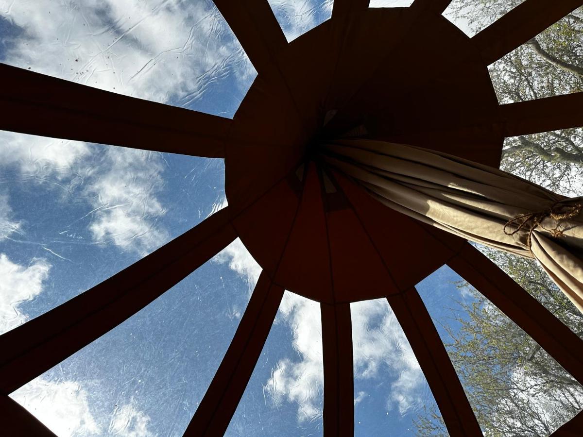 Romantic Luxus Glamping 3 Luxuszelt *