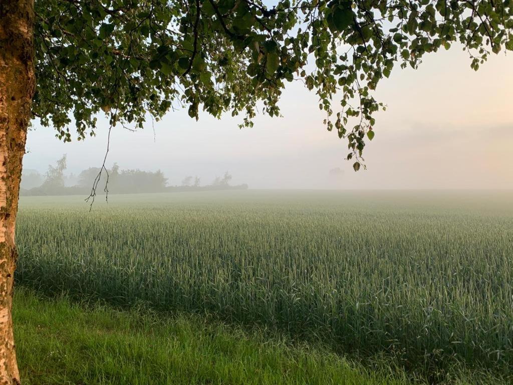 Luxuszelt Romantic Luxus Glamping 3 *